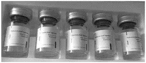 Injection liquid containing small molecular hyaluronic acid and application thereof