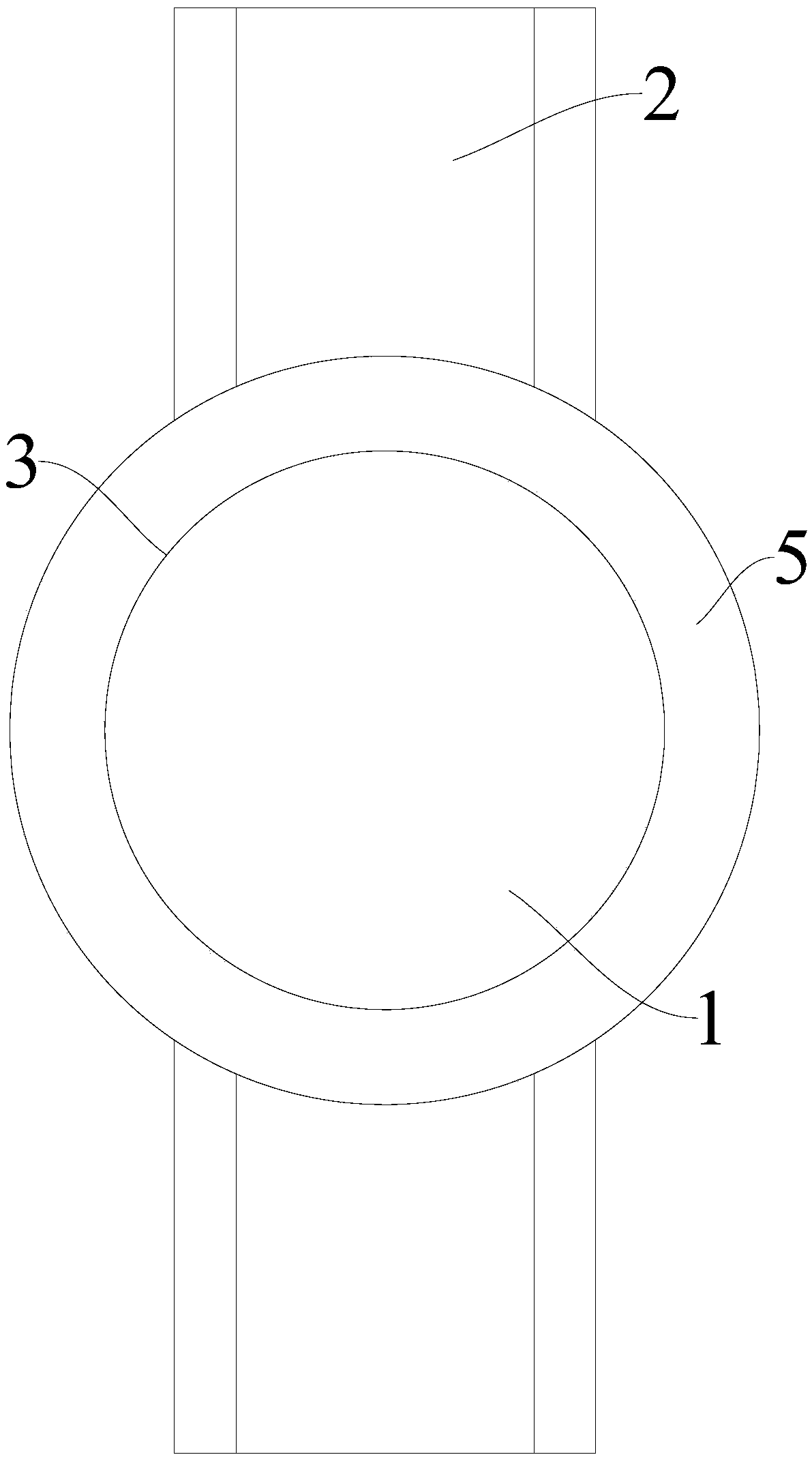 Wrist watch for heart rate detection