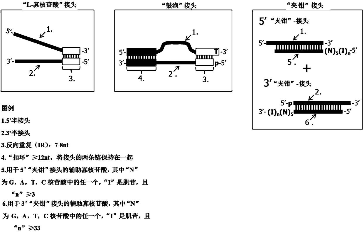 Double chain nucleic acid fragment joint adding method, library constructing method and kit