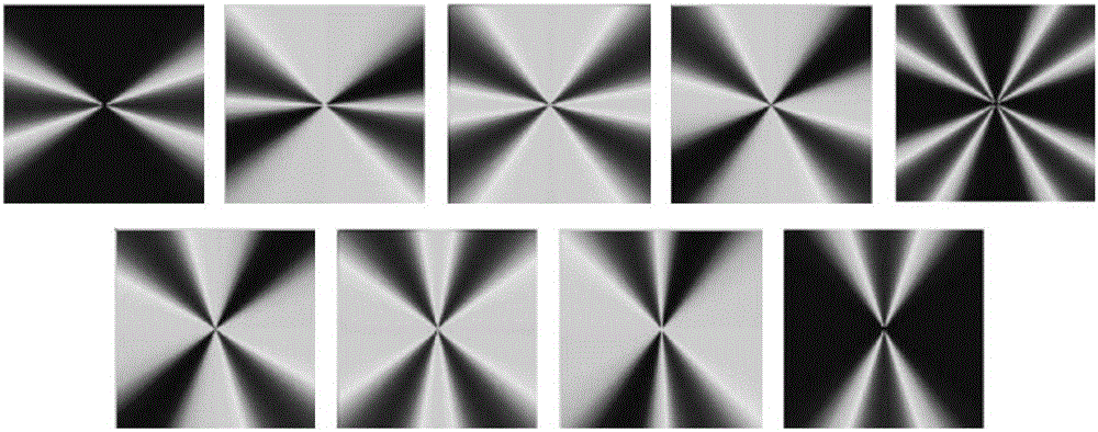 Riesz wavelet and SSLM (Small Sphere and Large Margin) model-based vein recognition method