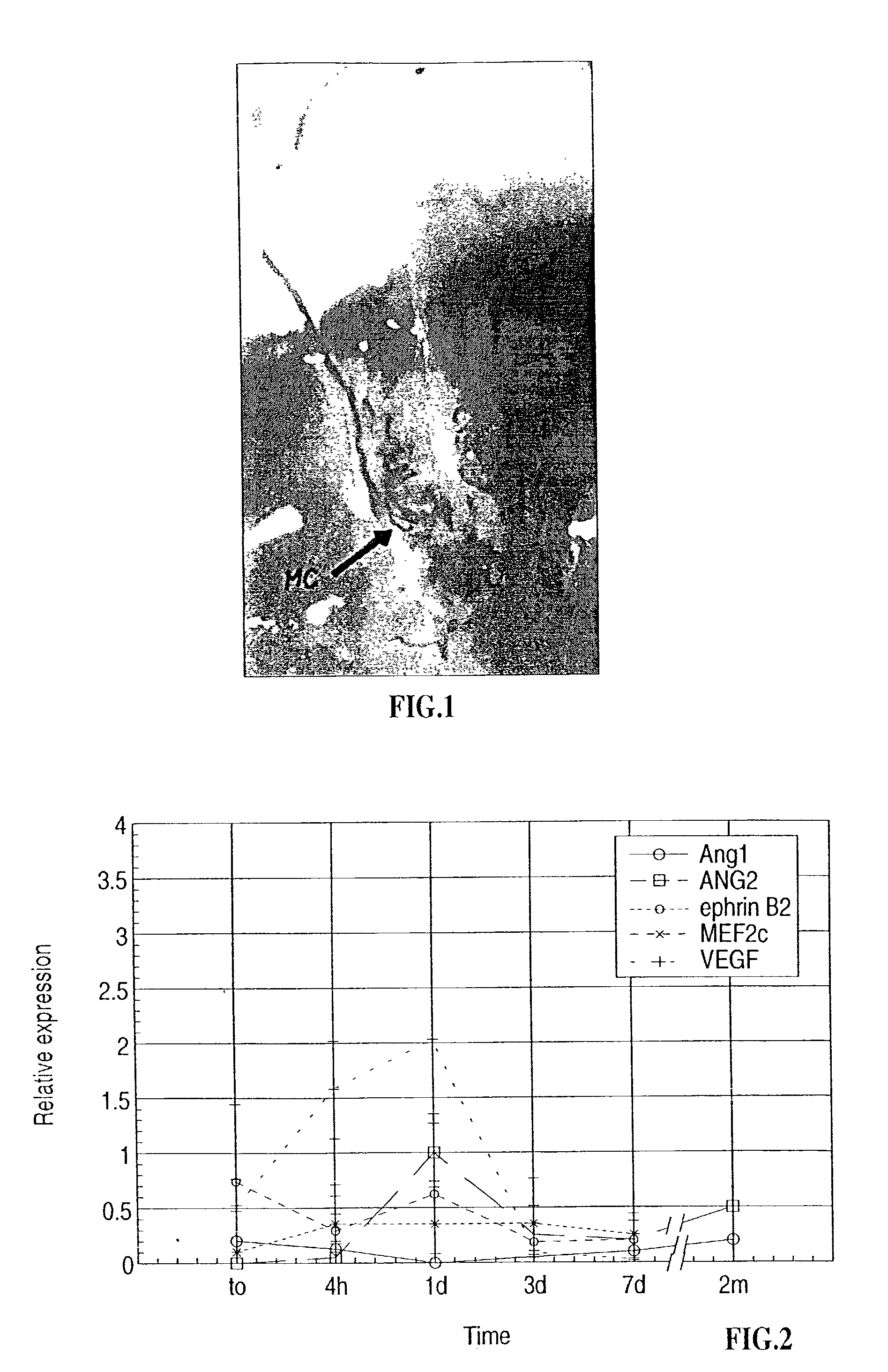 Method and device for inducing biological processes by micro-organs