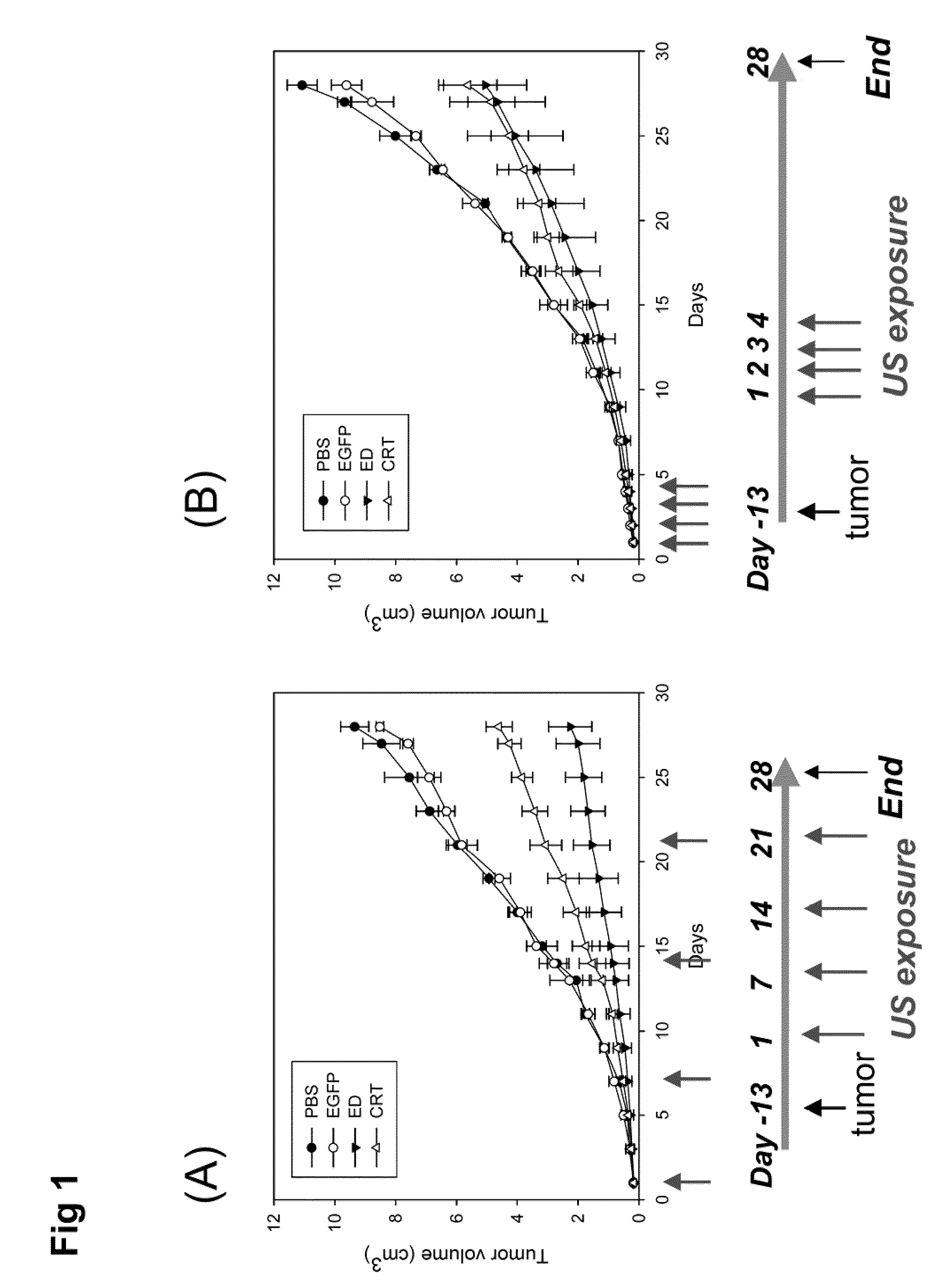 Acoustically delivering methods and compositons for remote treatment of a tumor