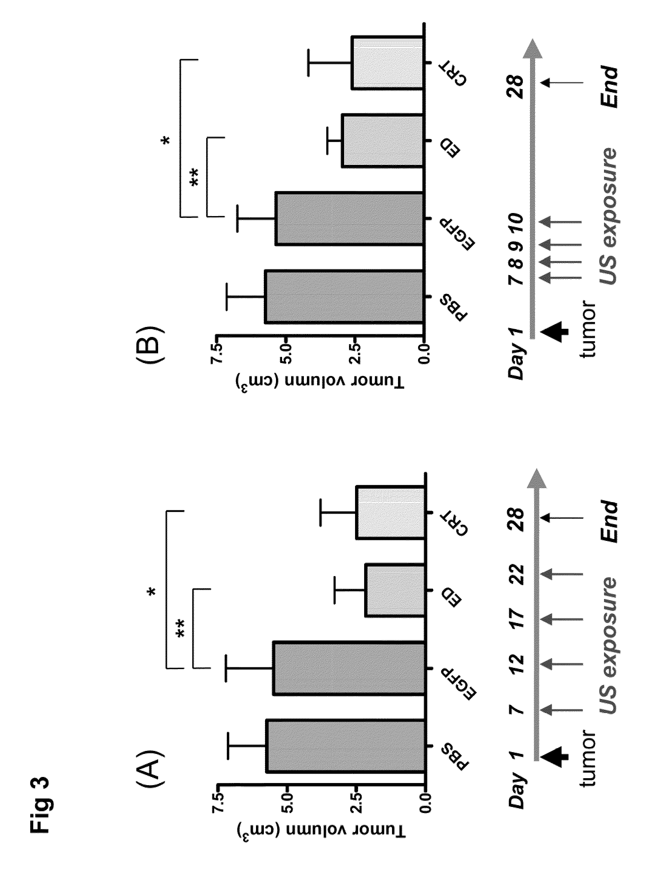 Acoustically delivering methods and compositons for remote treatment of a tumor