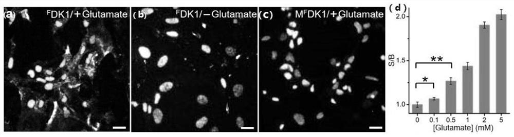 A deoxyribozyme-based extracellular ATP rapid sensing method and application kit