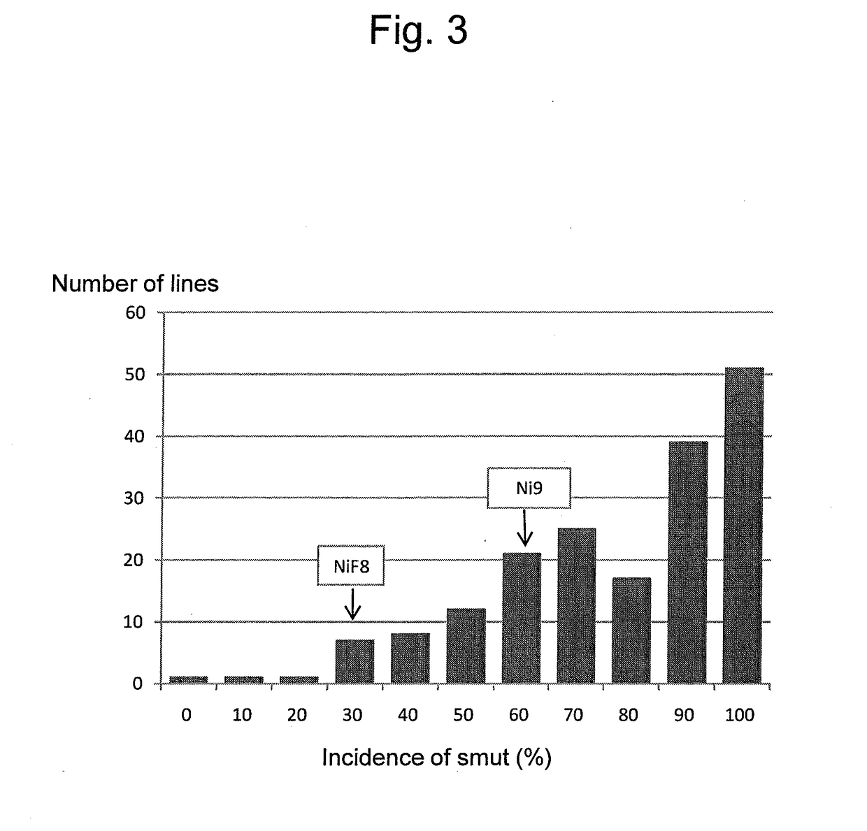 Marker associated with resistance to smut in plant belonging to genus saccharum, and use thereof