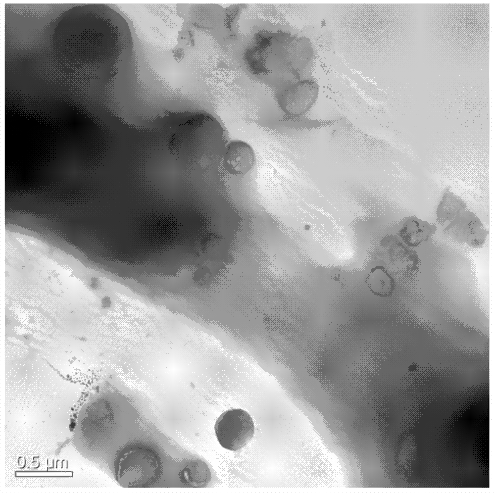 Preparation method and application of immobilized aspergillus terreus lipase