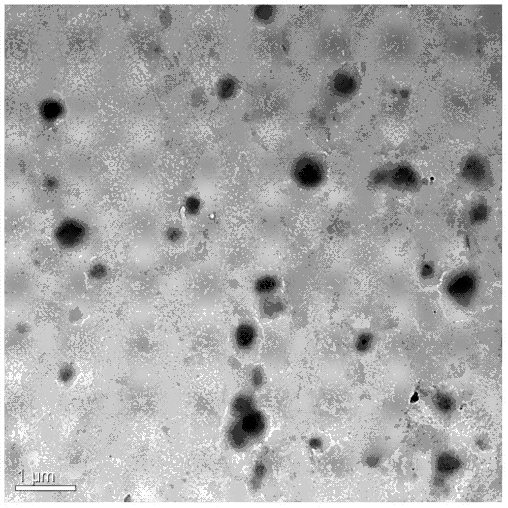 Preparation method and application of immobilized aspergillus terreus lipase