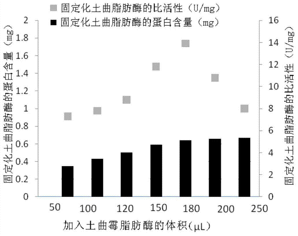 Preparation method and application of immobilized aspergillus terreus lipase