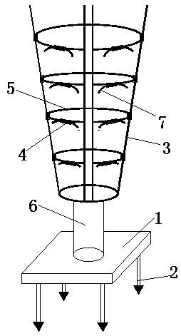 Vine plant shaping frame for greenhouse planting