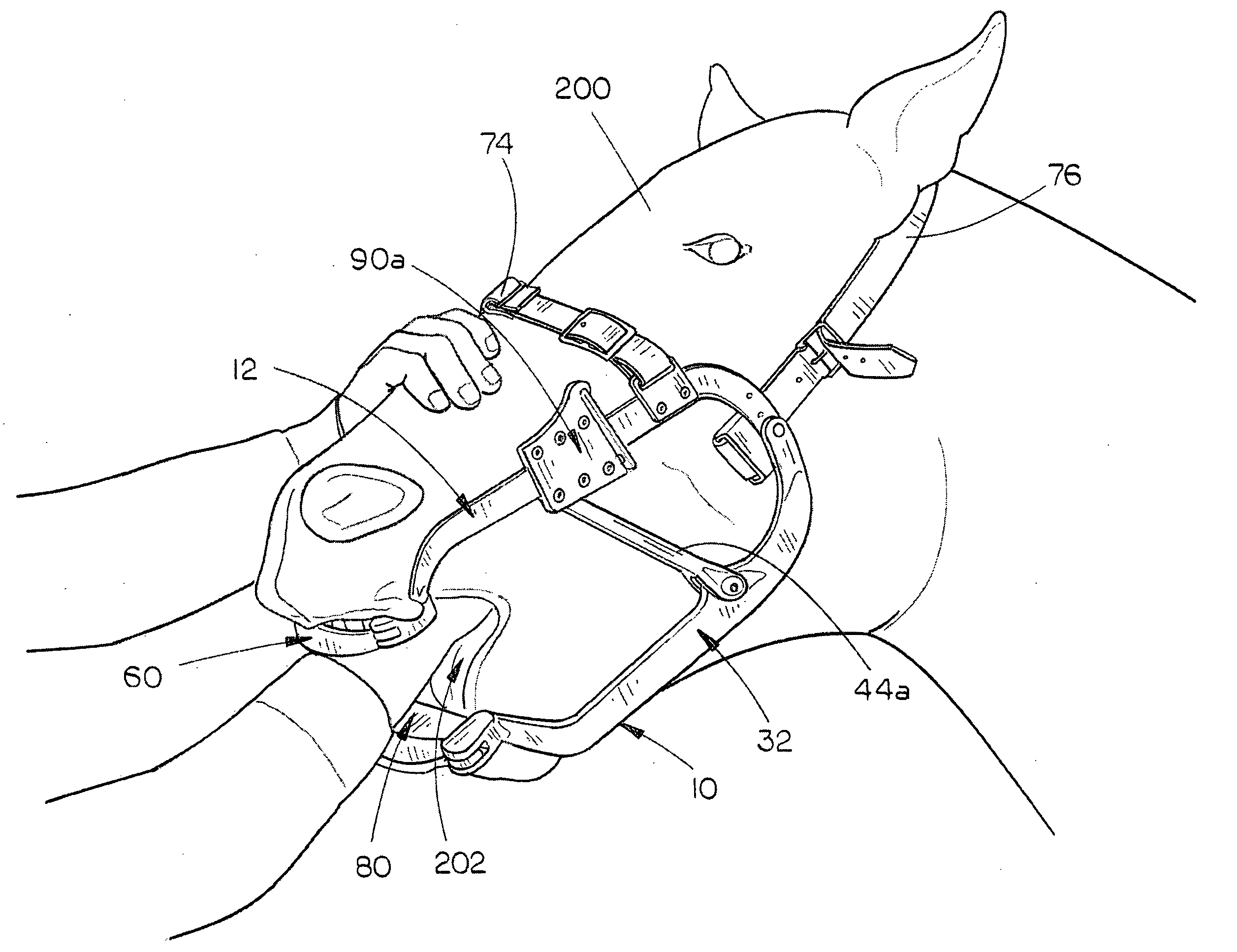 Equine dental speculum