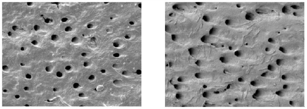 Oral care composition containing bioactive material and spherical silicon dioxide