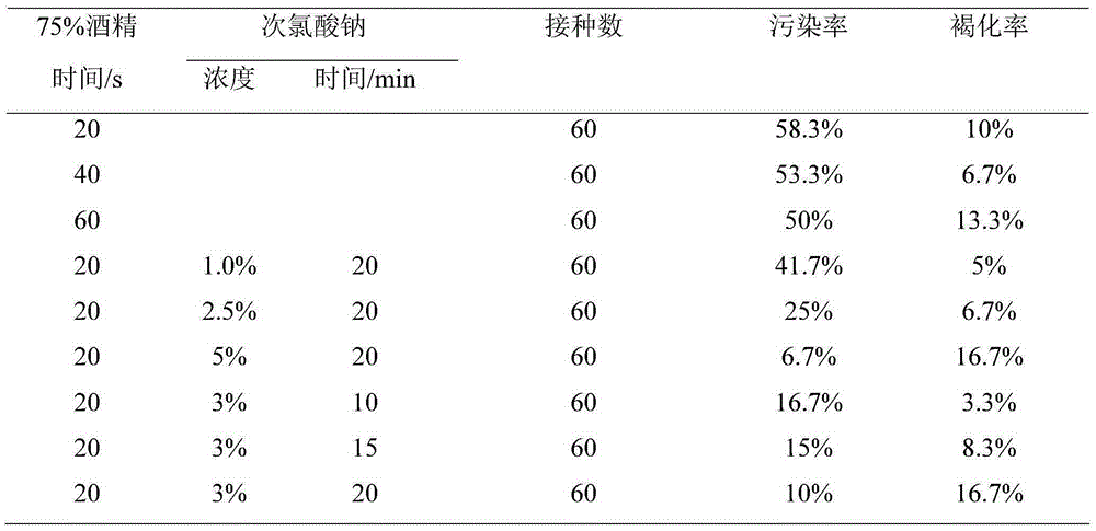 Honeysuckle tissue-culture-seedling culture medium and honeysuckle tissue-culture rapid propagation method