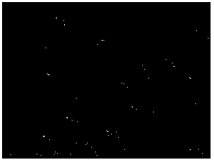 Method for coating normal-temperature black phosphating film on steel surface