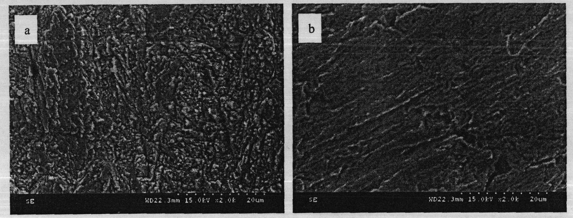 Environment-friendly metal corrosion inhibitor and preparation method thereof