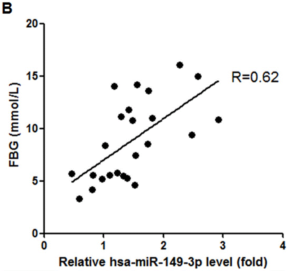 MiRNA molecular marker hsa-miR-149-3p for diagnosing type 2 diabetes mellitus and application thereof