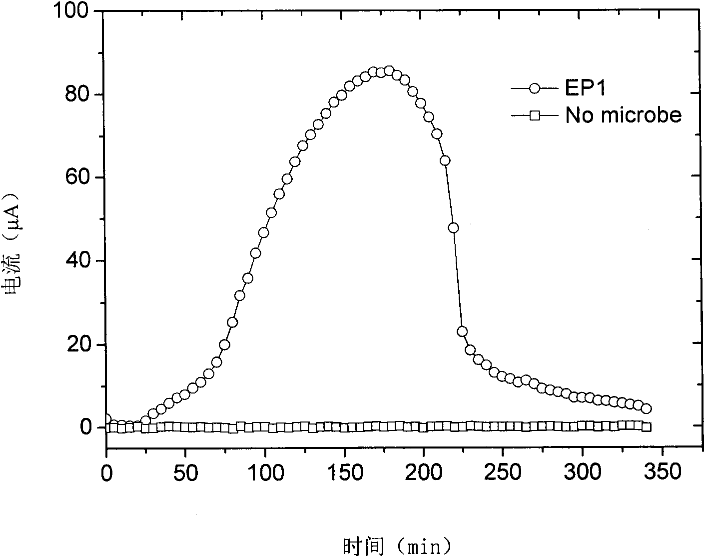 Shewanella and application thereof in microbiological fuel cell