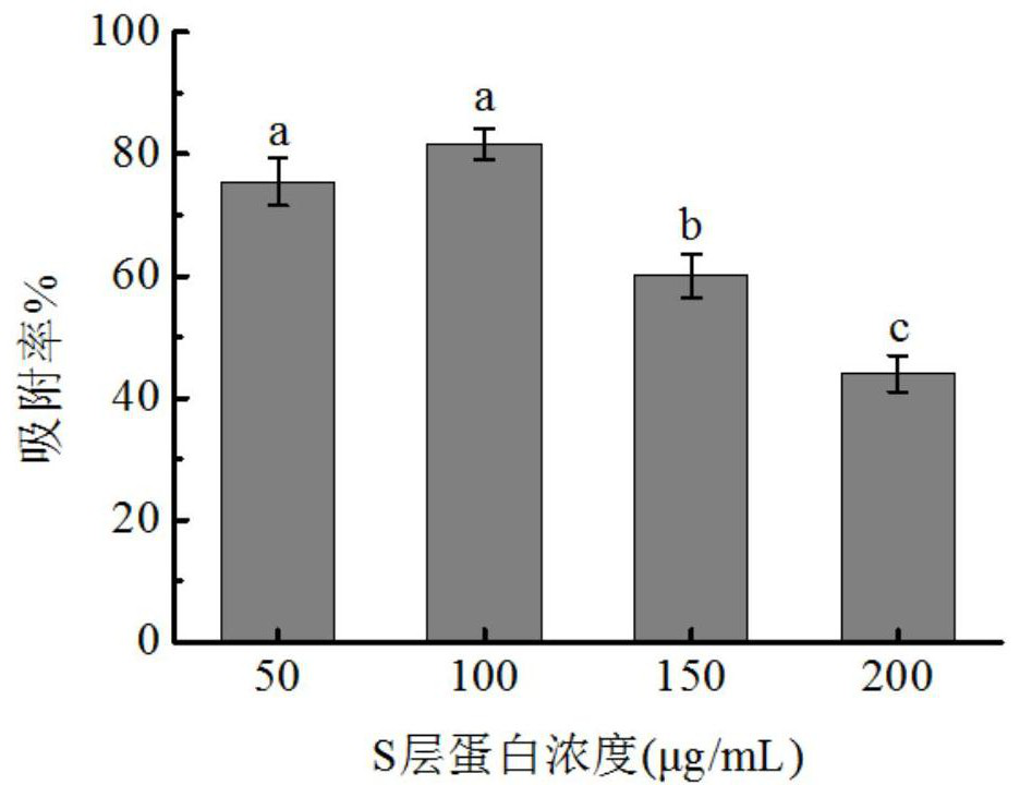 A kind of nano-silver complex modified by S-layer protein and its preparation method and application