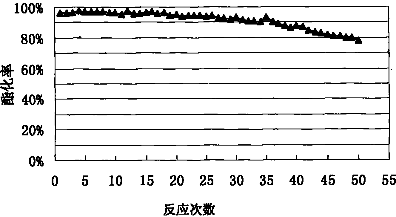 Immobilized lipase and preparation method thereof