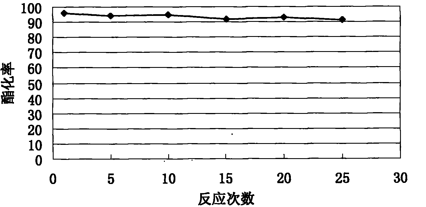 Immobilized lipase and preparation method thereof