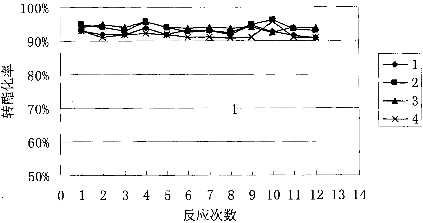 Immobilized lipase and preparation method thereof