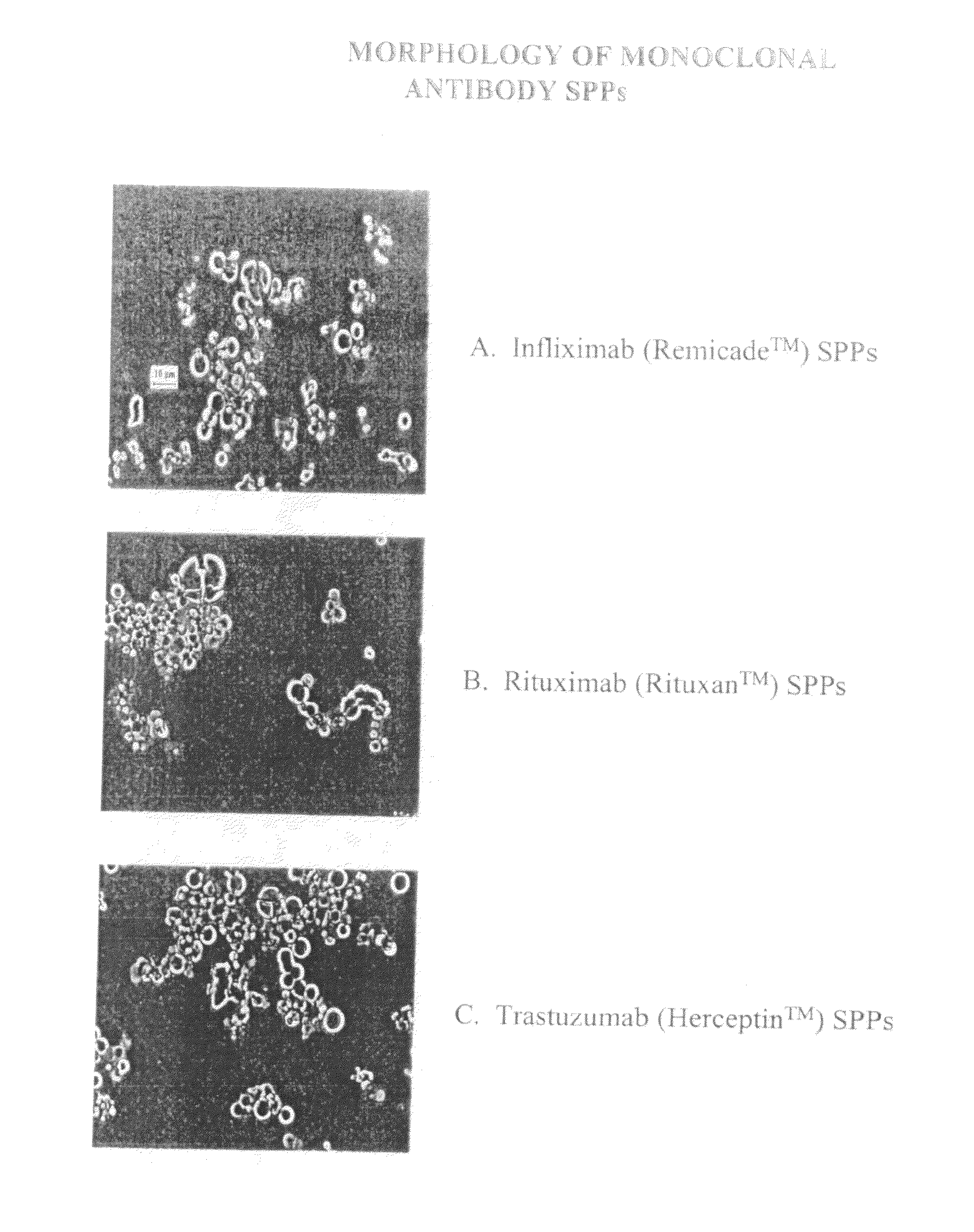 Spherical Protein Particles and Methods of Making and Using Them