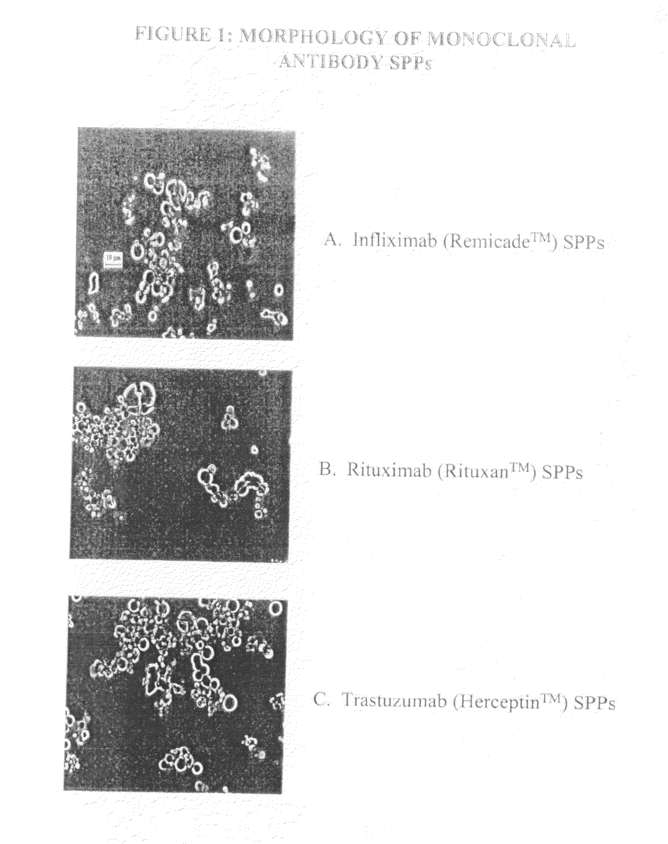 Spherical Protein Particles and Methods of Making and Using Them