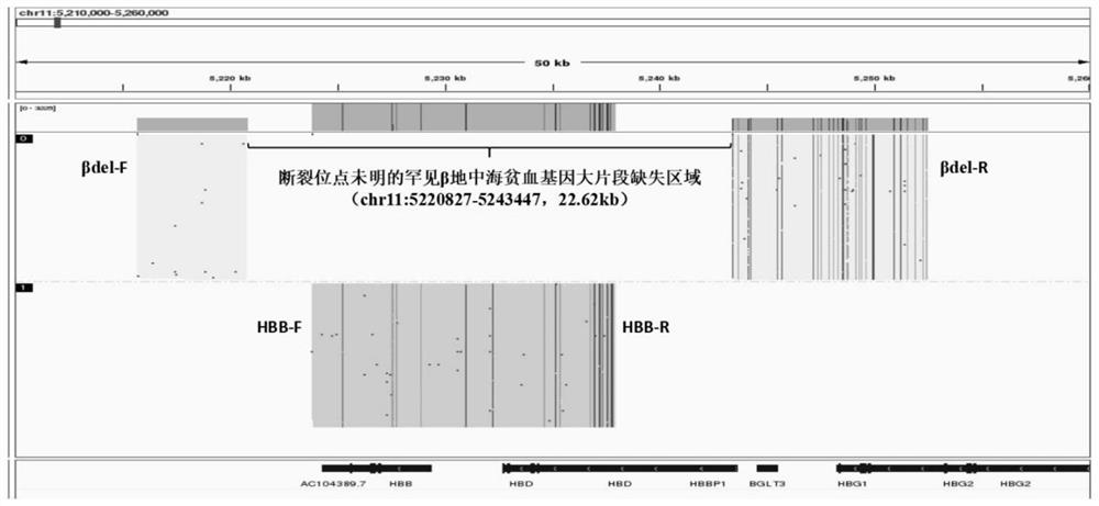 Primer group, kit and sequencing library for detecting large fragment deletion of rare beta thalassemia gene with unclear fracture site