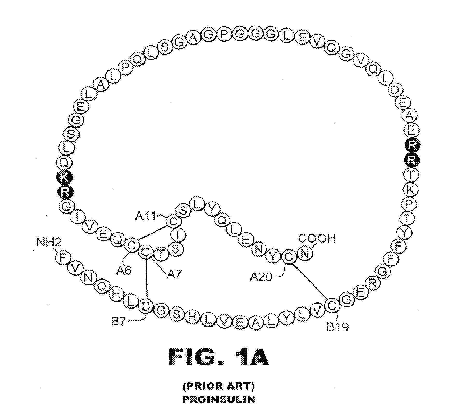 O-linked carbohydrate-modified insulin analogues