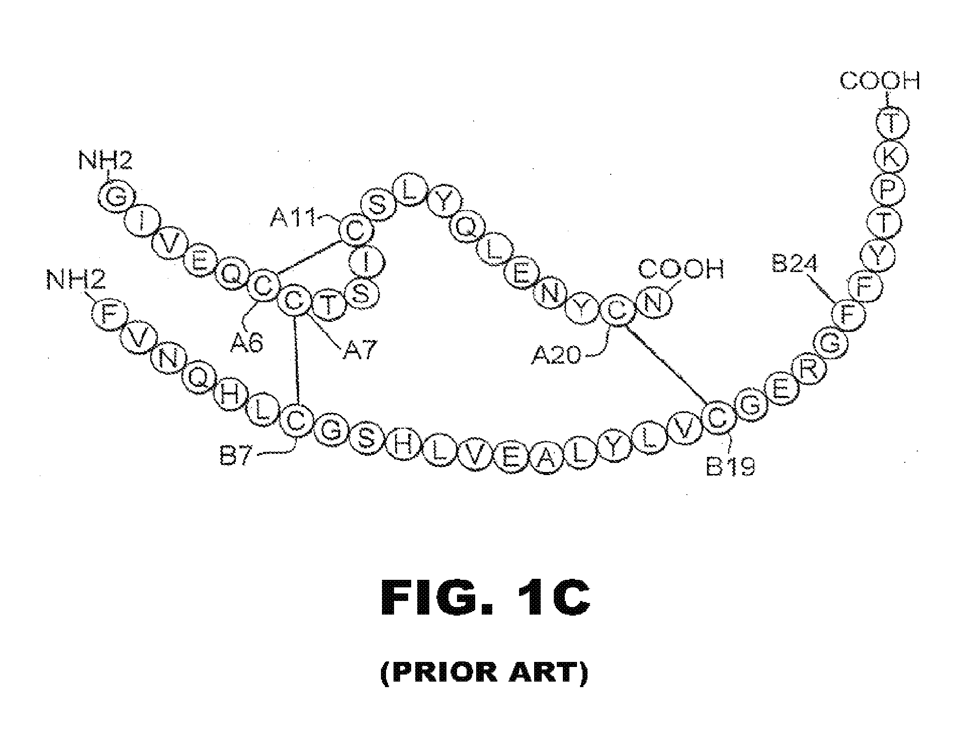 O-linked carbohydrate-modified insulin analogues