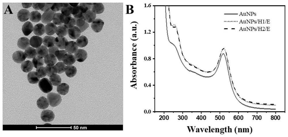 Method for measuring content of chloramphenicol based on biosensor of glucometer