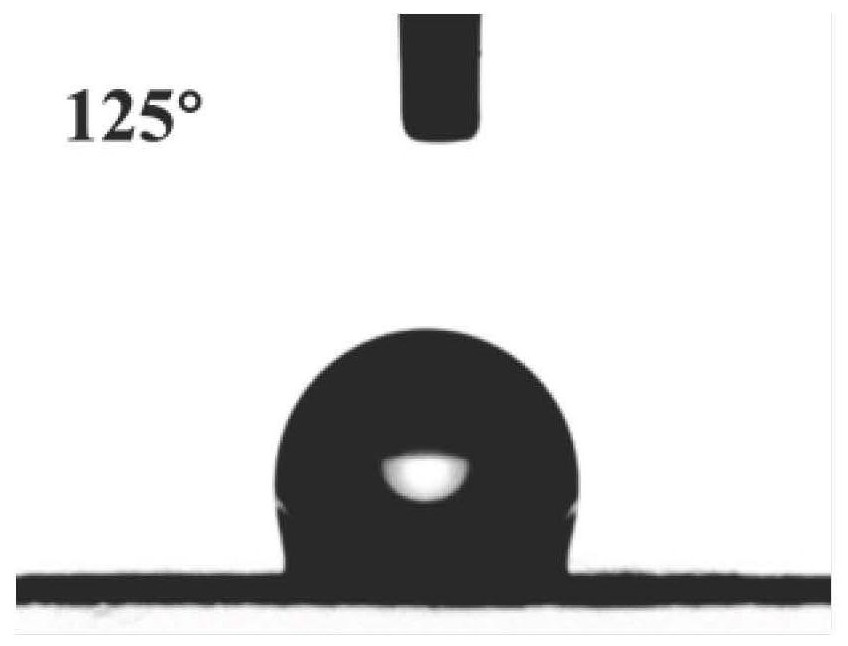 In-situ hydrophobic modified aramid nano aerogel fiber as well as preparation method and application thereof