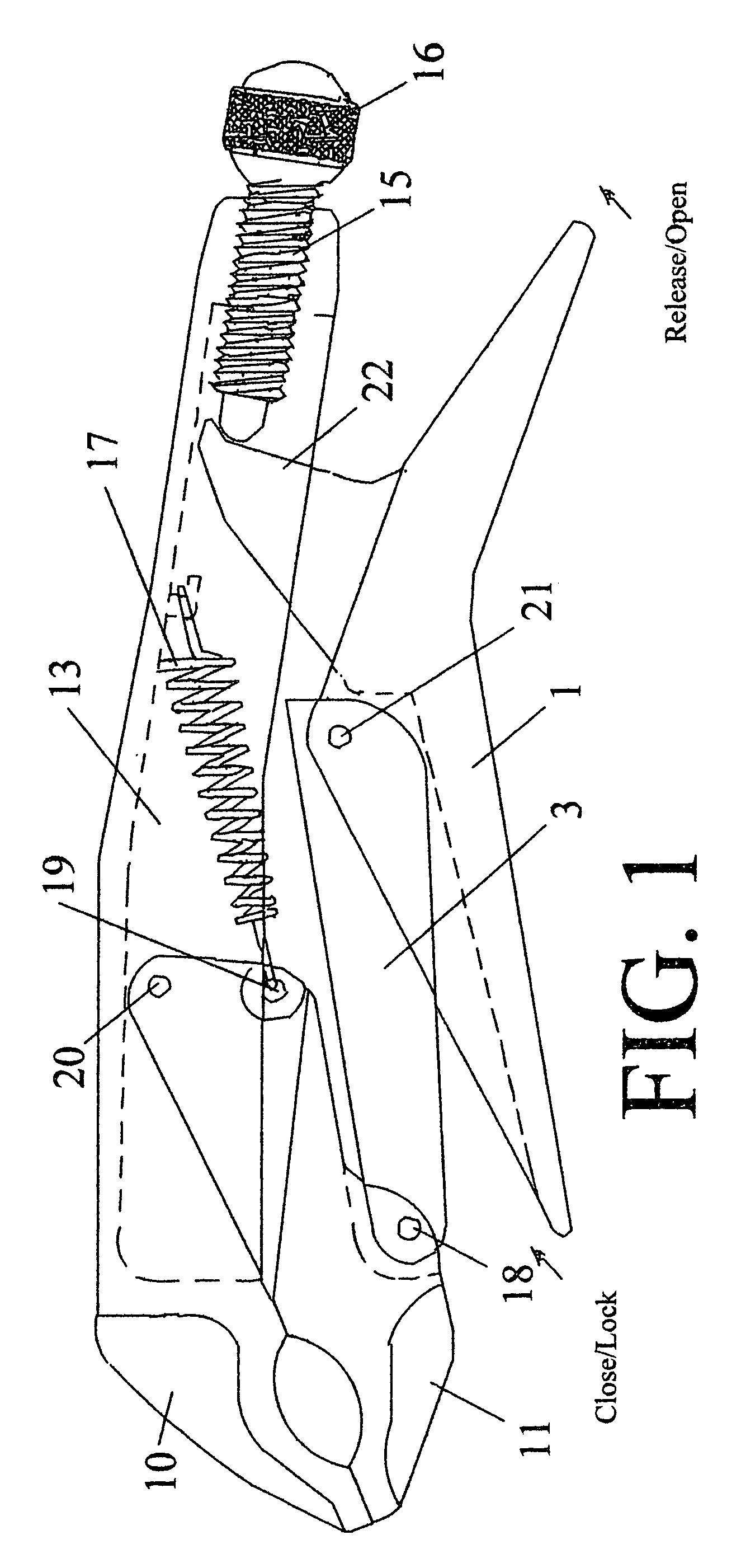 Dual action locking pliers