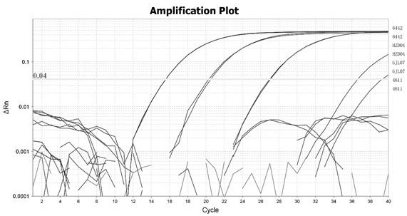 Real-time fluorescence PCR detection method and detection kit of ahamus yushuensis