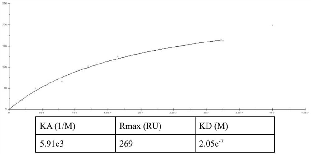 Application of chlamydia protein Pgp3 in preparation of medicine for inhibiting salpingitis