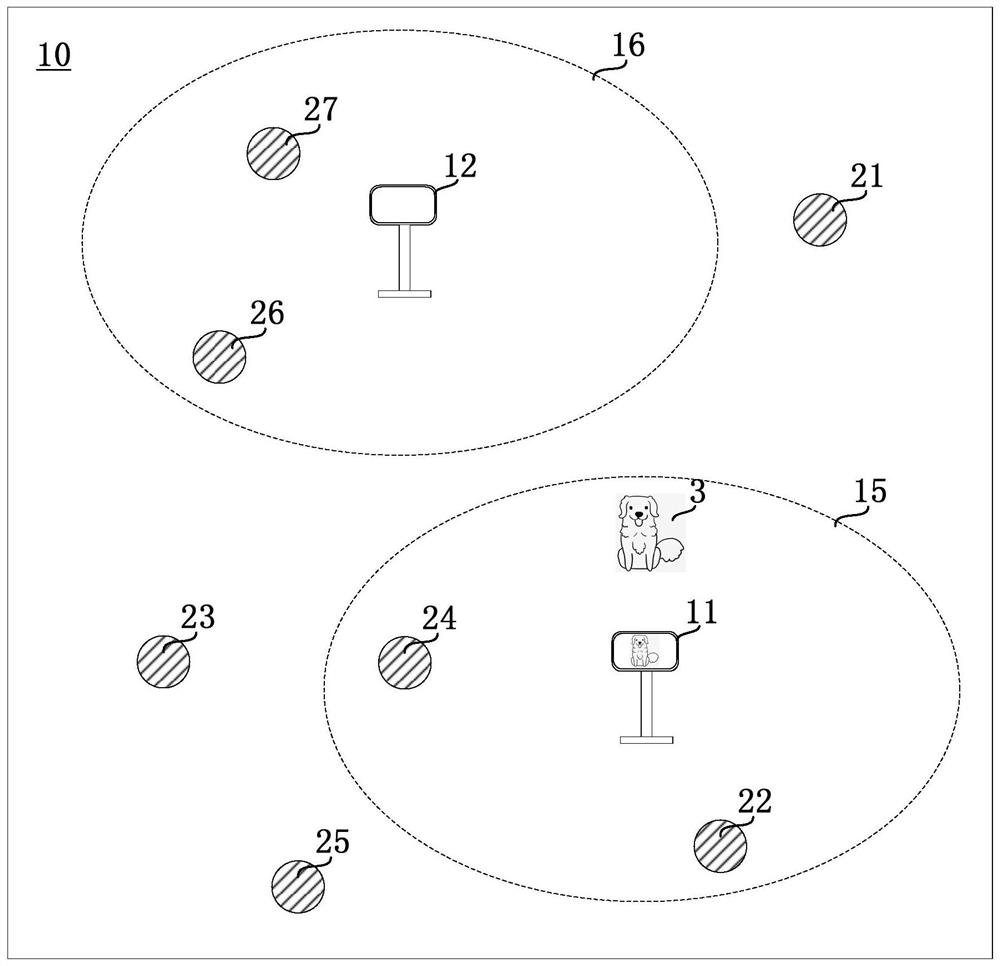 Animal identification method, system and device based on neural network, and storage medium