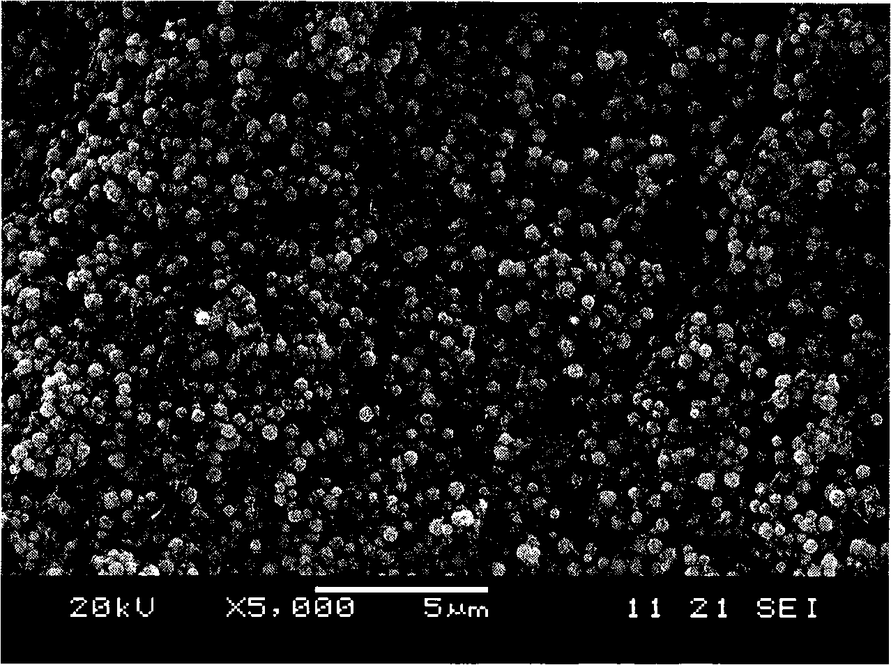 Method for synthesizing Bi0.5Na0.5TiO3 spheroidal particles by microwave hydrothermal method