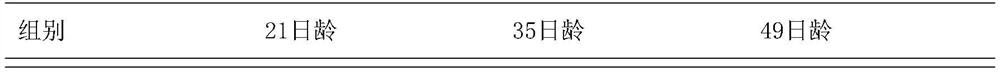 A natural plant compound preparation for improving the breeding rate of chicks and its preparation method and application