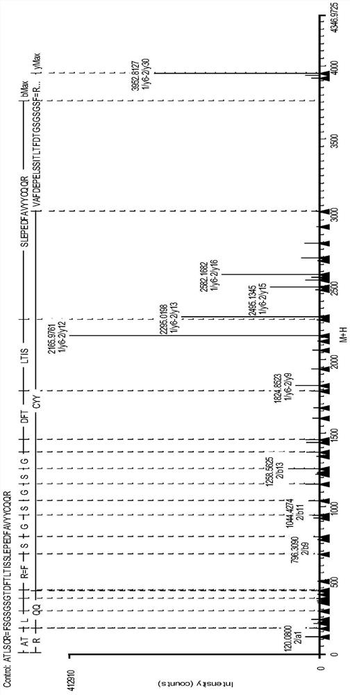 Monoclonal Antibody Disulfide Bond Pairing Analysis Method