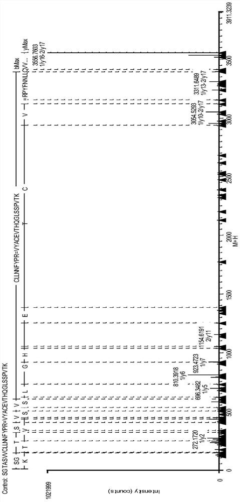 Monoclonal Antibody Disulfide Bond Pairing Analysis Method