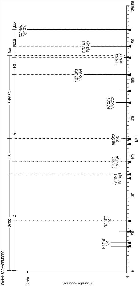 Monoclonal Antibody Disulfide Bond Pairing Analysis Method