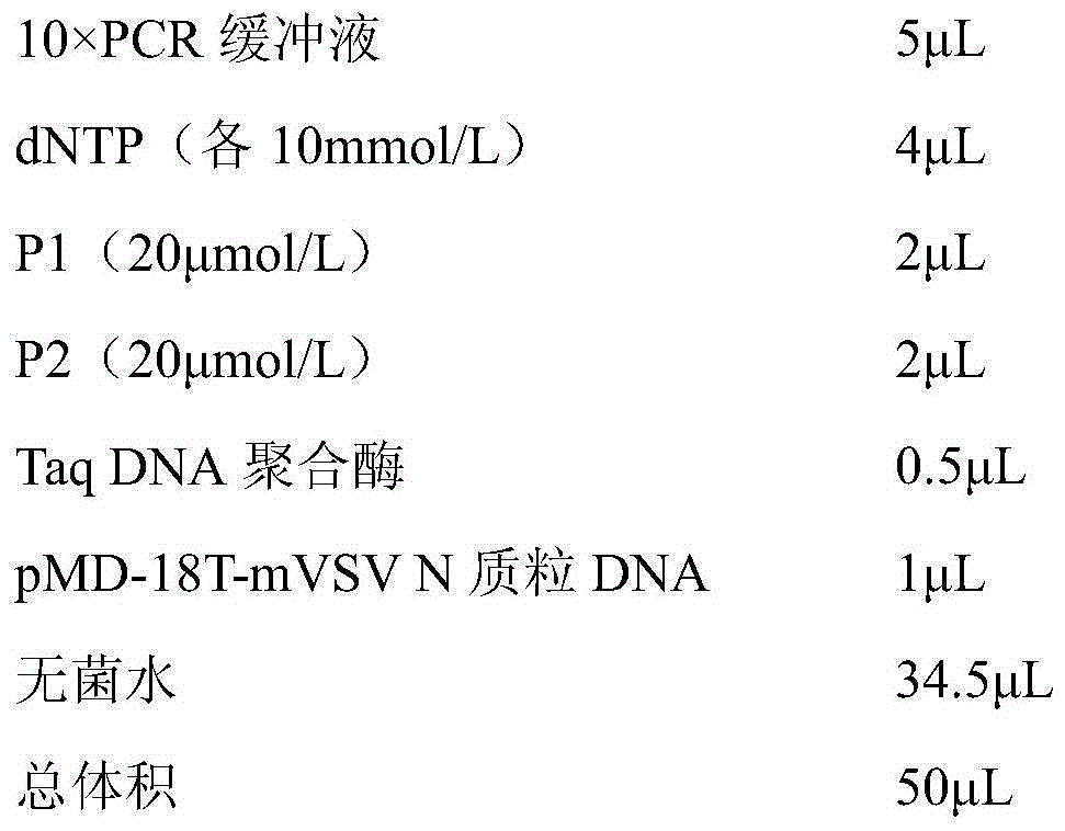 A kind of recombinant N protein antigen of vesicular stomatitis virus and its preparation method