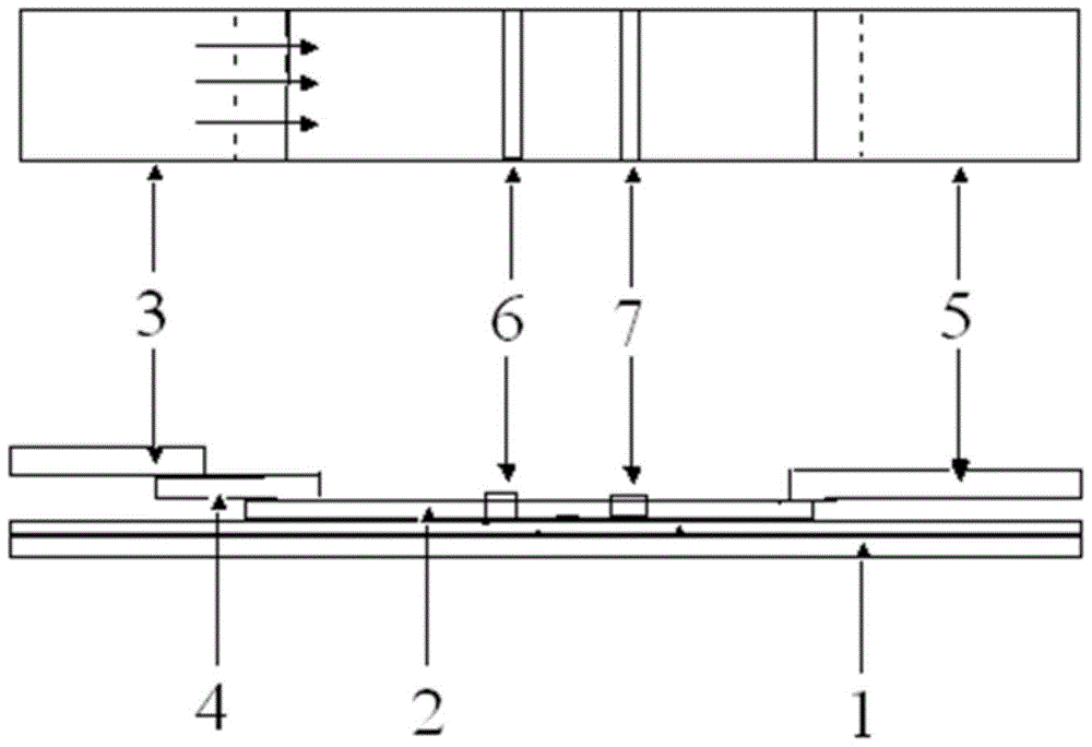 A kind of recombinant N protein antigen of vesicular stomatitis virus and its preparation method