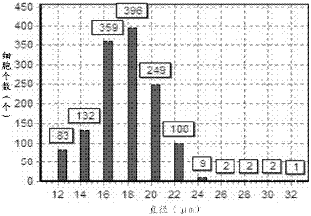 Adipose-derived stem cell preparation and preparation method thereof