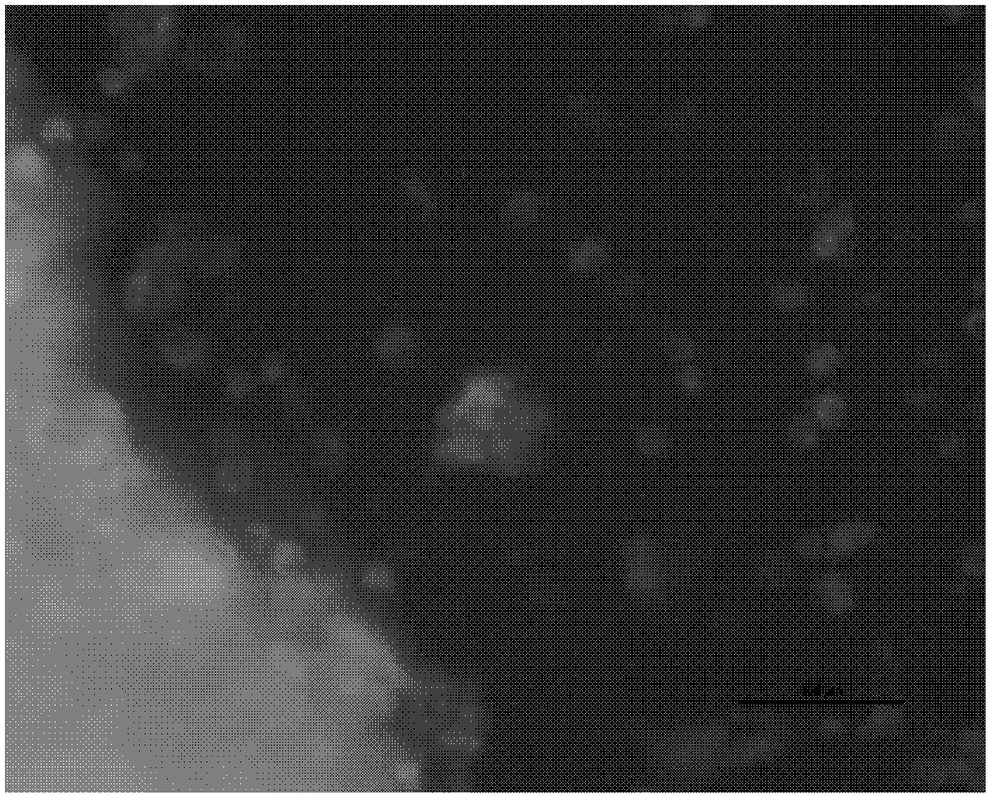 Transgenic fat body cell line of high-yield baculovirus and preparation method as well as application thereof