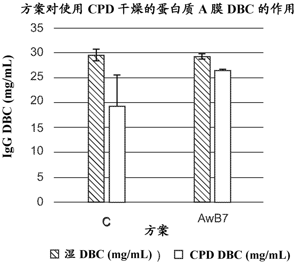 Supercritical drying of chromatography media