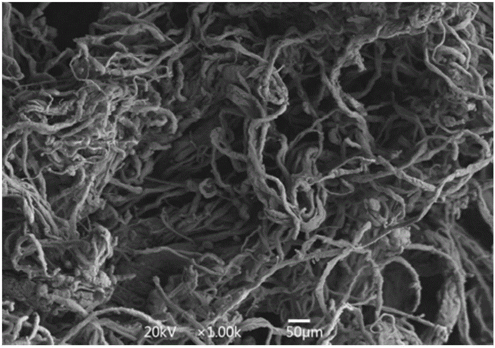 Extraction method of collagen fiber