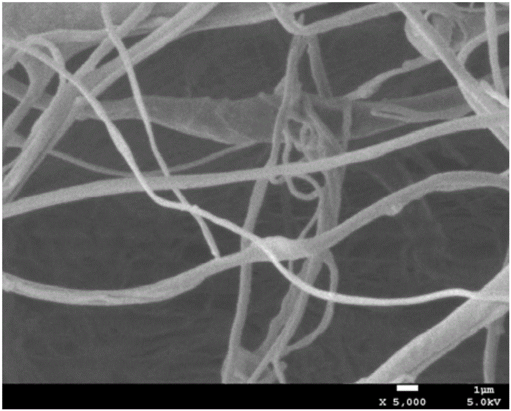 Extraction method of collagen fiber