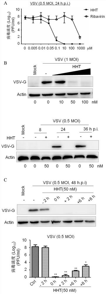 A plant source preparation for antiviral infection of livestock and poultry