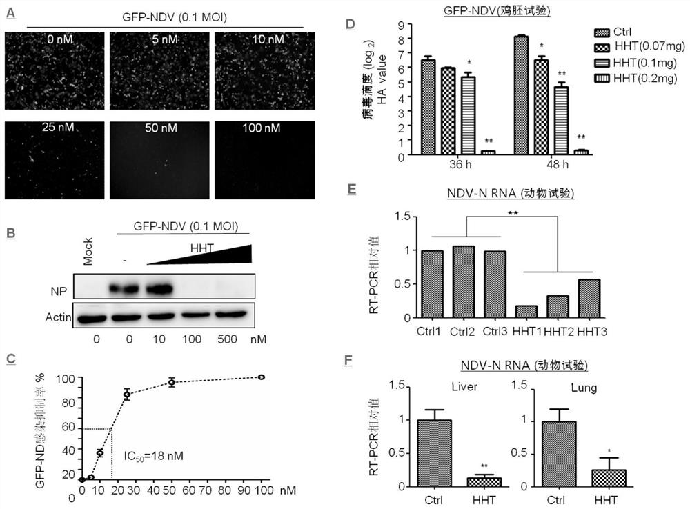 A plant source preparation for antiviral infection of livestock and poultry