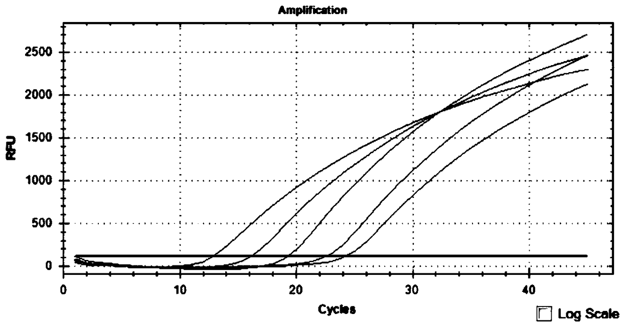 Primer probe group and kit for combined detection of Batai virus and Taina virus based on dual fluorescence PCR method